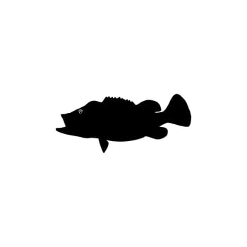 Bass Fish Silhouette, can use for Art Illustration, Logo Gram, Pictogram, Mascot, Website, or Graphic Design Element. Vector Illustration