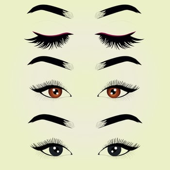 Beautiful vector and line art ayes