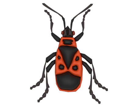 3d Firebug on a transparent background png