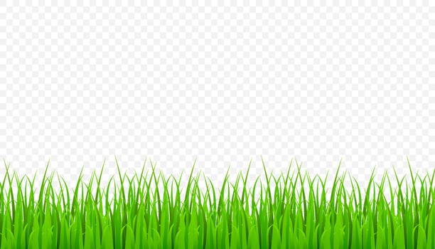 Green Grass Border, field lawn. Vector stock Illustration