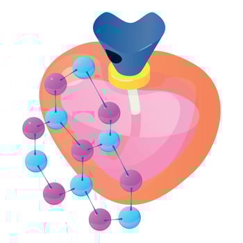 Perfume icon isometric vector. Shape heart bottle of perfume and molecule symbol vector