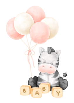 Baby Zebra and balloons png