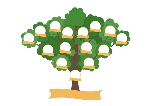 Family Tree template. Genealogical tree with blank spaces for members of family. Relationship between child, parents and grandparents. Heritage vector illustration.