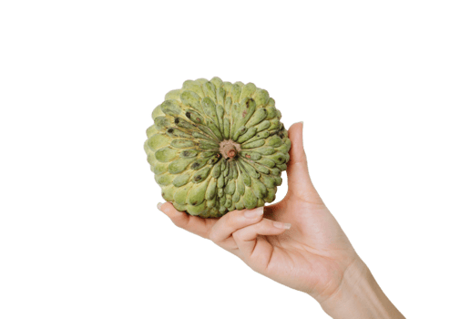 custard apple png transparent background