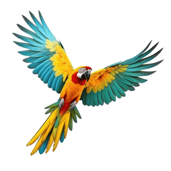 Colorful flying parrot isolated png