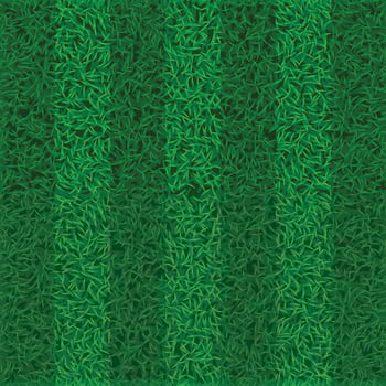 picture of grass field vector