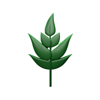 fern 3d rendering icon illustration png