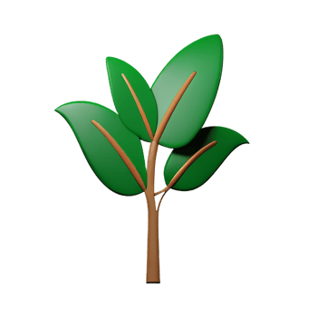 fern 3d rendering icon illustration png