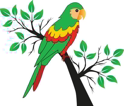 vector Parrot Drawing
