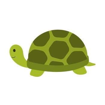 turtle vector illustration