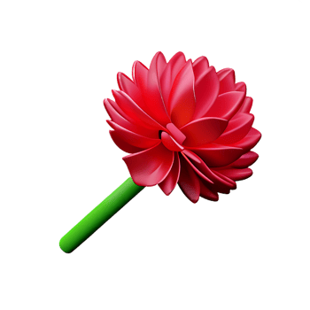carnation 3d rendering icon illustration png