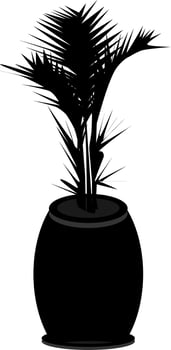 hand-drawn sketch of a plant. silhouette in black and white vector