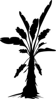 hand-drawn sketch of a plant. silhouette in black and white vector