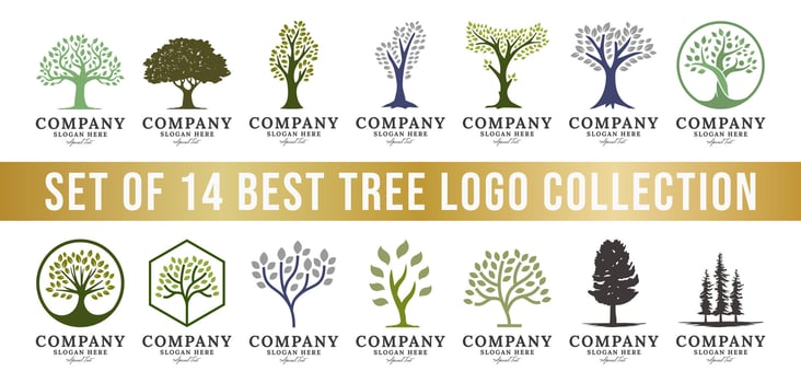 set of tree logo collection, perfect for company logos, business and branding. vector