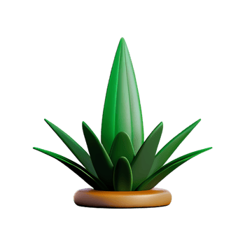 aloe vera 3d rendering icon illustration png
