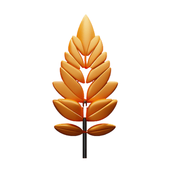 grain 3d rendering icon illustration png