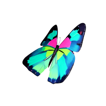 watercolor butterfly 3d rendering icon illustration png