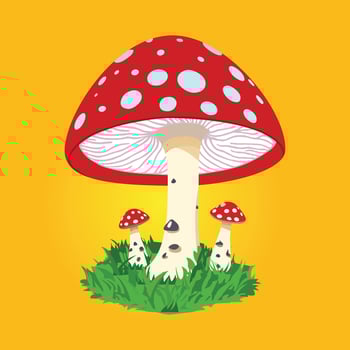red magic mushroom cartoon illustration vector