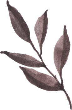 Watercolor Autumn leaves png