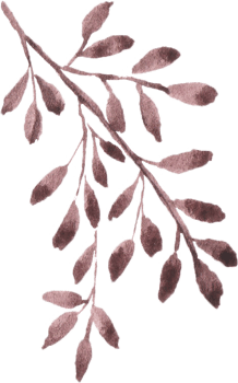 Watercolor Autumn leaves png