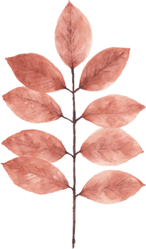 Watercolor Autumn leaves png