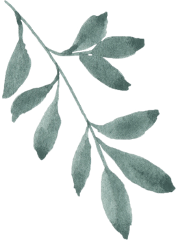 Watercolor Green leaves png