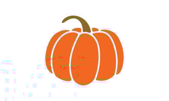 Pumpkin of various shapes and colors. Thanksgiving and Halloween Elements. vector