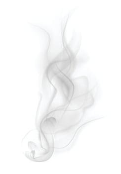 smoke on white background vector