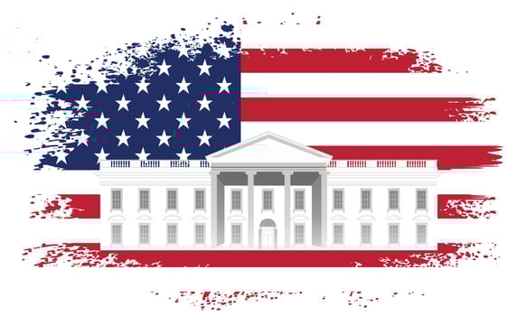 american national day poster vector
