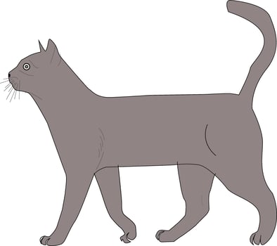 Black Cat Drawing vector
