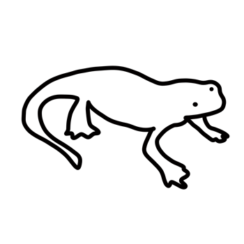 newst amphibian animal png