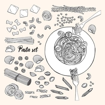 Set of different types pasta. Hand drawn collection spaghetti, macaroni, fusilli, farfalle, ravioli, tortiglioni, penne. Black and white vector illustration.