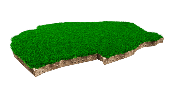 Eswatini Map soil land geology cross section with green grass and Rock ground texture 3d illustration png