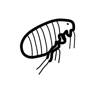 flea pet pest animal png