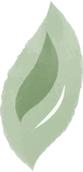 watercolor vector leaf