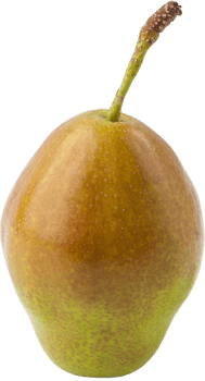 isolated pear fruit on transparent background. png