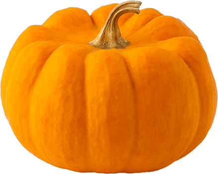 isolated pumpkin fruit on transparent background. png