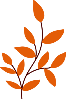 autumn leaves illustration png