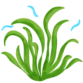 green seaweed png. png