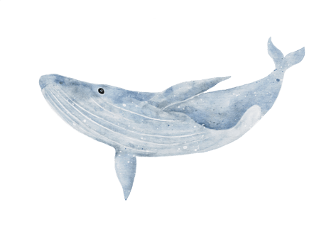 Blue whale digital drawing in watercolor isolated on background png