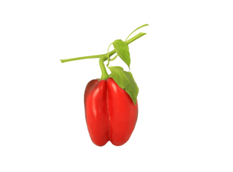 Bell pepper png transparent background