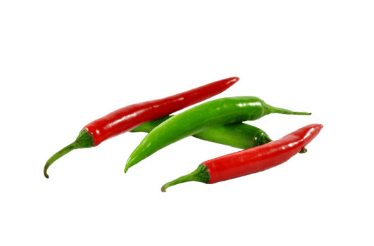 chilli pepper png transparent background