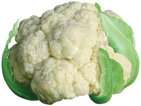 cauliflower png transparent background