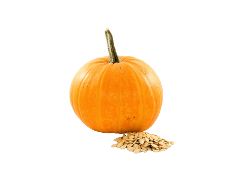 Pumpkin png transparent background