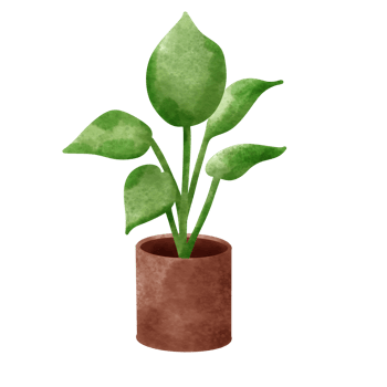 Houseplant elements on pottery. png
