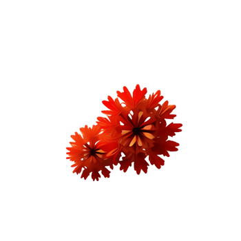 dried flowers 3d rendering icon illustration png
