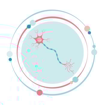 Neuron vector illustration graphic icon symbol