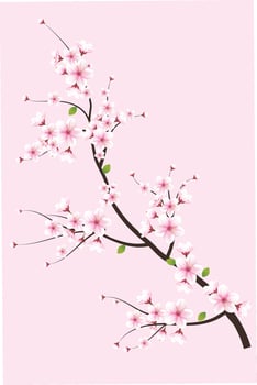 generated ai Sakura flower illustration vector