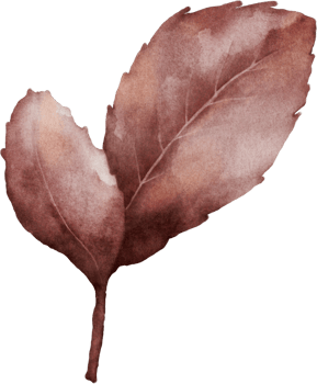 Watercolor magenta leaves of cherry blossoms element png