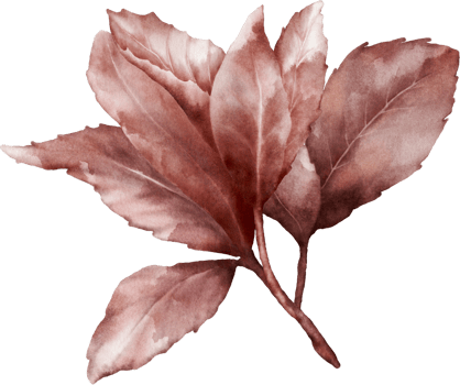 Watercolor magenta leaves of cherry blossoms element png